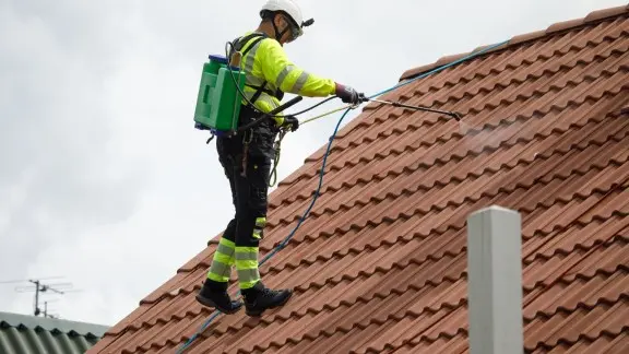 Roof painting