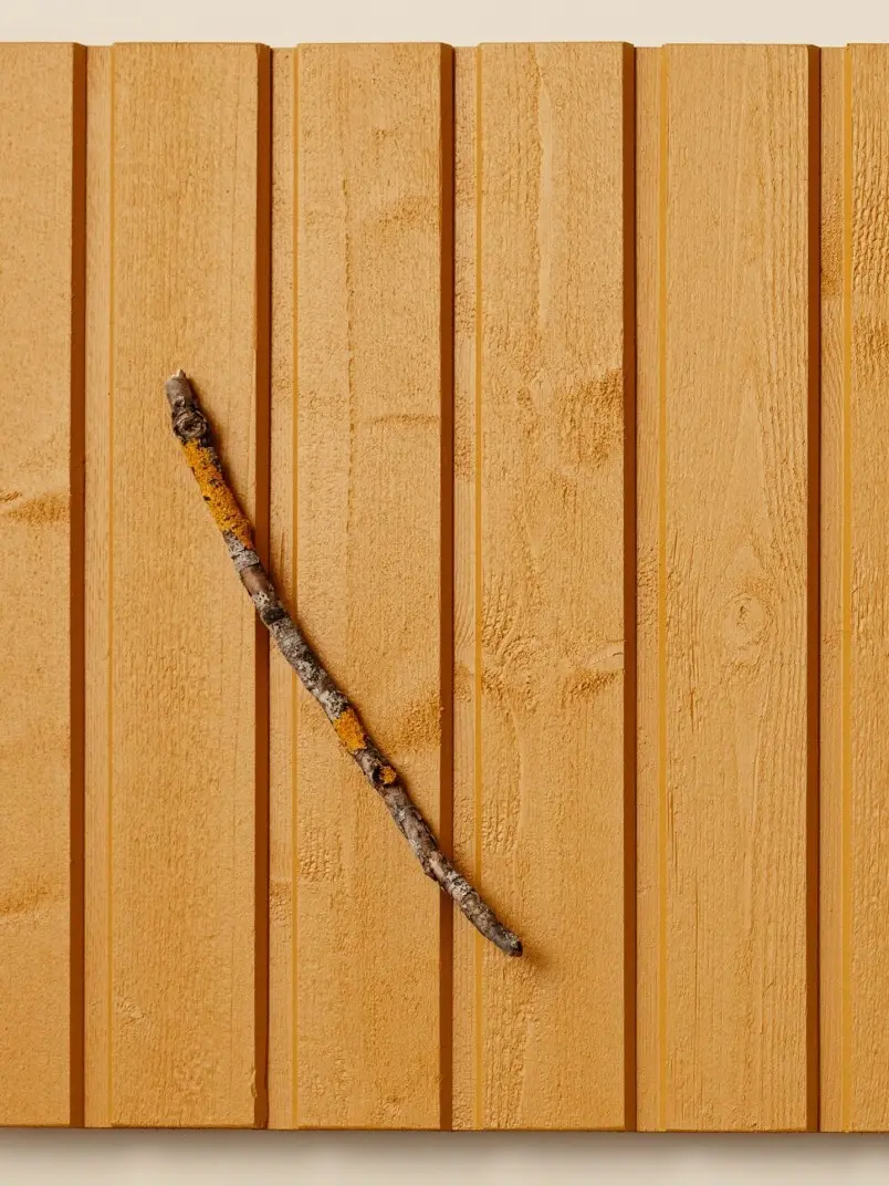 Popular wooden facade colour Yellow D105