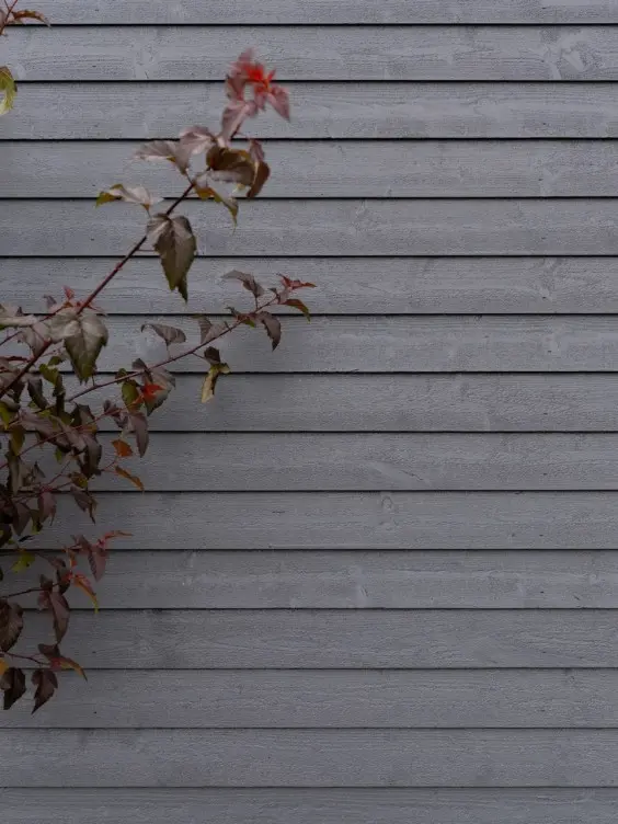 Exterior wood