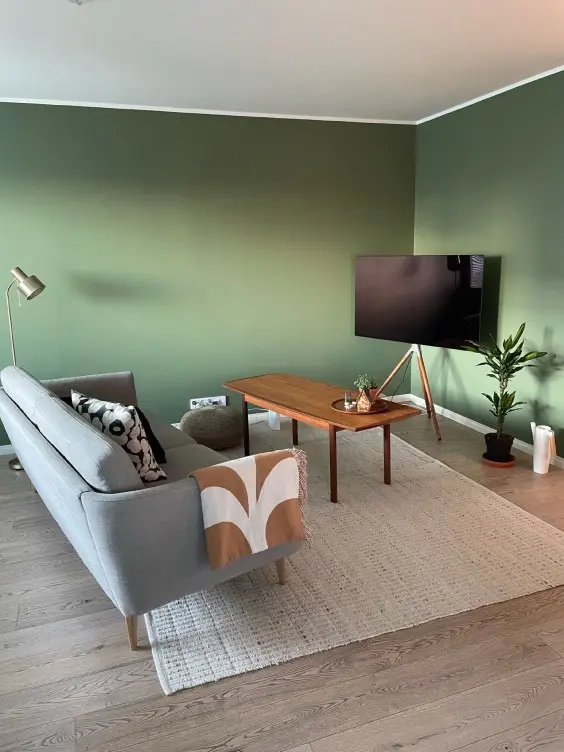 living room with green colour walls