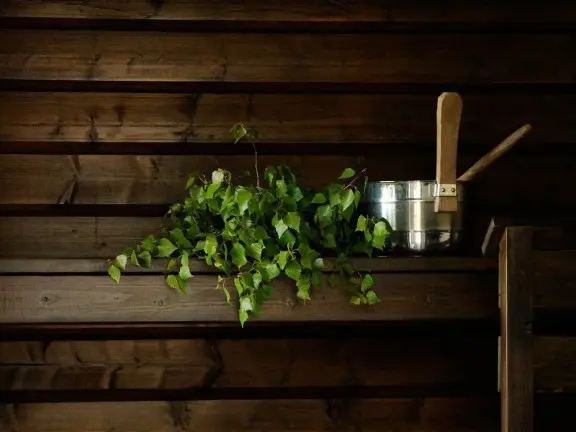 cottage sauna