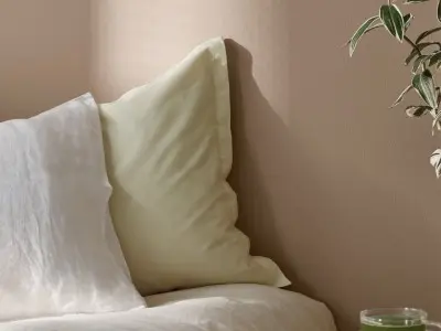 how to choose paint