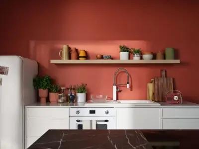Red kitchen wall