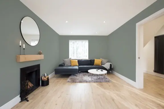 living room with painted walls
