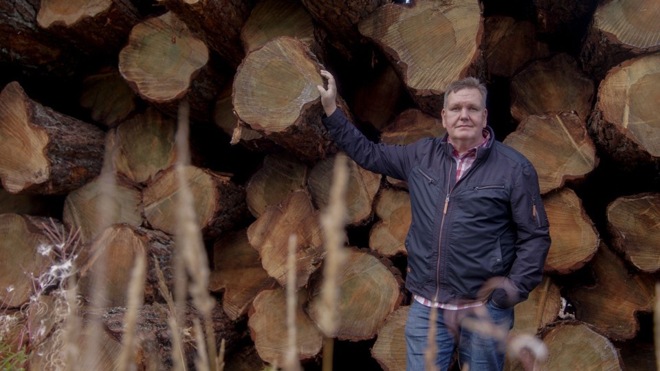 Man leaning on a pile of logs