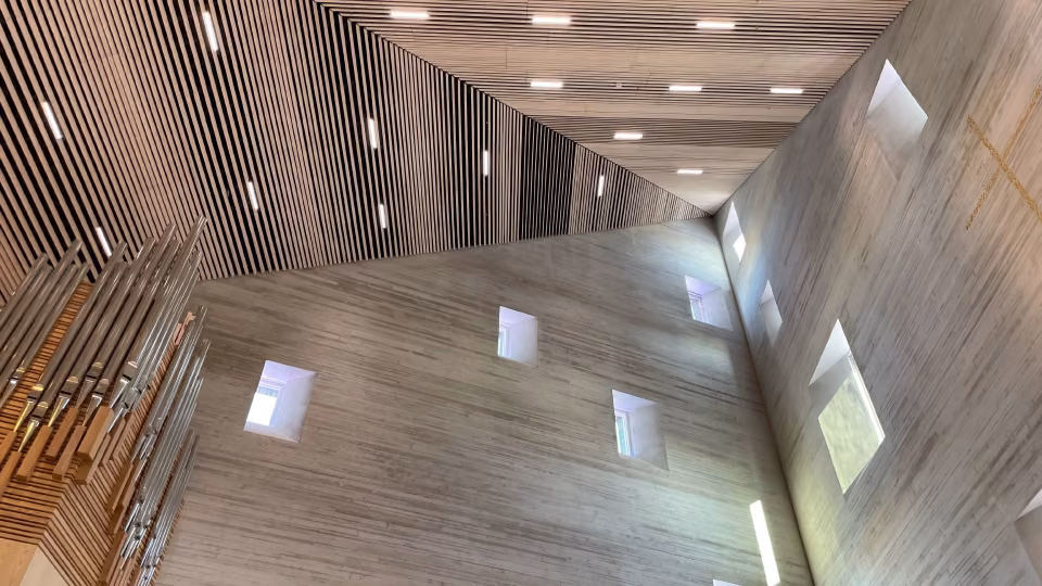 Wooden ceiling panels