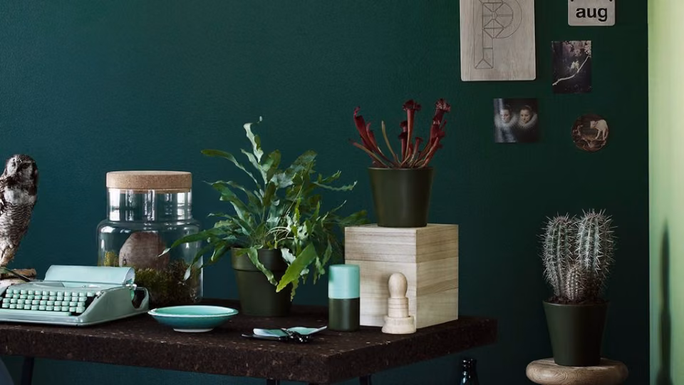 Green home office