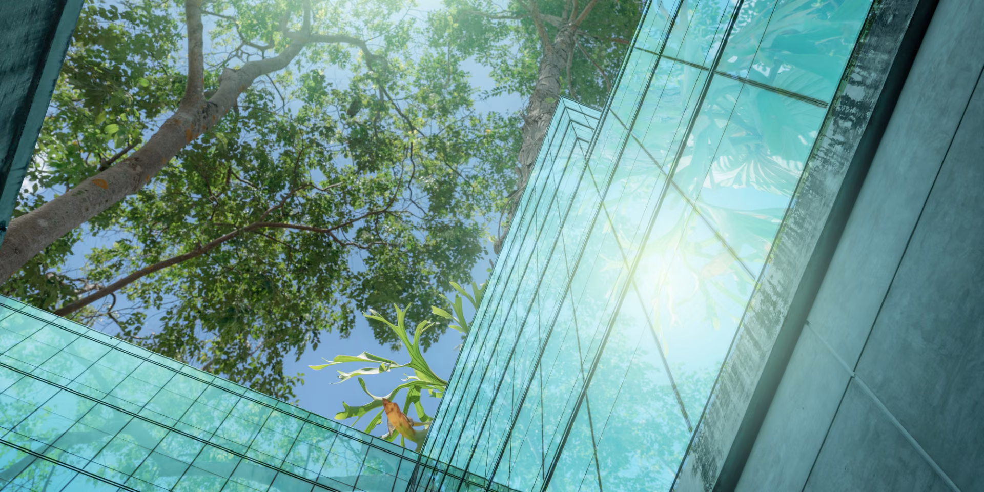 Green building