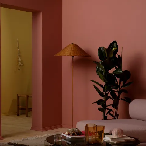 Design solutions inspired by nature