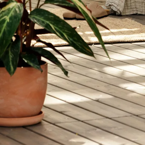 wooden terrace with plant