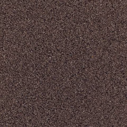 Bronzite