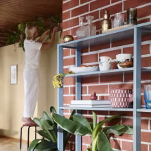 big green plants on decoration shelf in front of brick wall