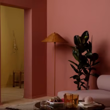 Design solutions inspired by nature
