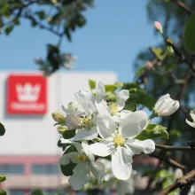 Decorative photo with PPG Tikkurila factory in the background