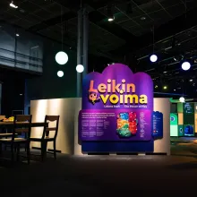 Power of play exhibition