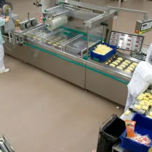 Coating solutions for the food processing industry and professional kitchens