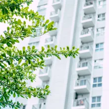 Green building