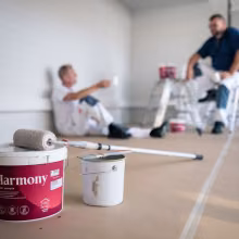 How to choose the best combination of filler, primer and topcoat?