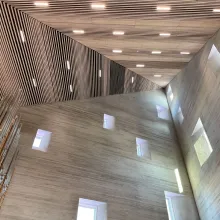 Fire protection for wood