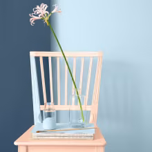 refreshing rental home by painting walls and furnitures