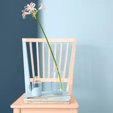 refreshing rental home by painting walls and furnitures