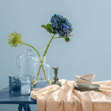 Blue wall painted with colour Cumulus Y354