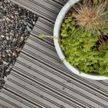wooden terrace with plants