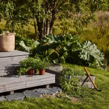 terrace garden