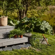 terrace garden