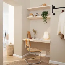 study room in green colour