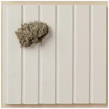 Popular wooden facade colour white Q854