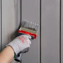 Ulkomaalin tunnistaminen