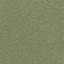 Vesuvianite