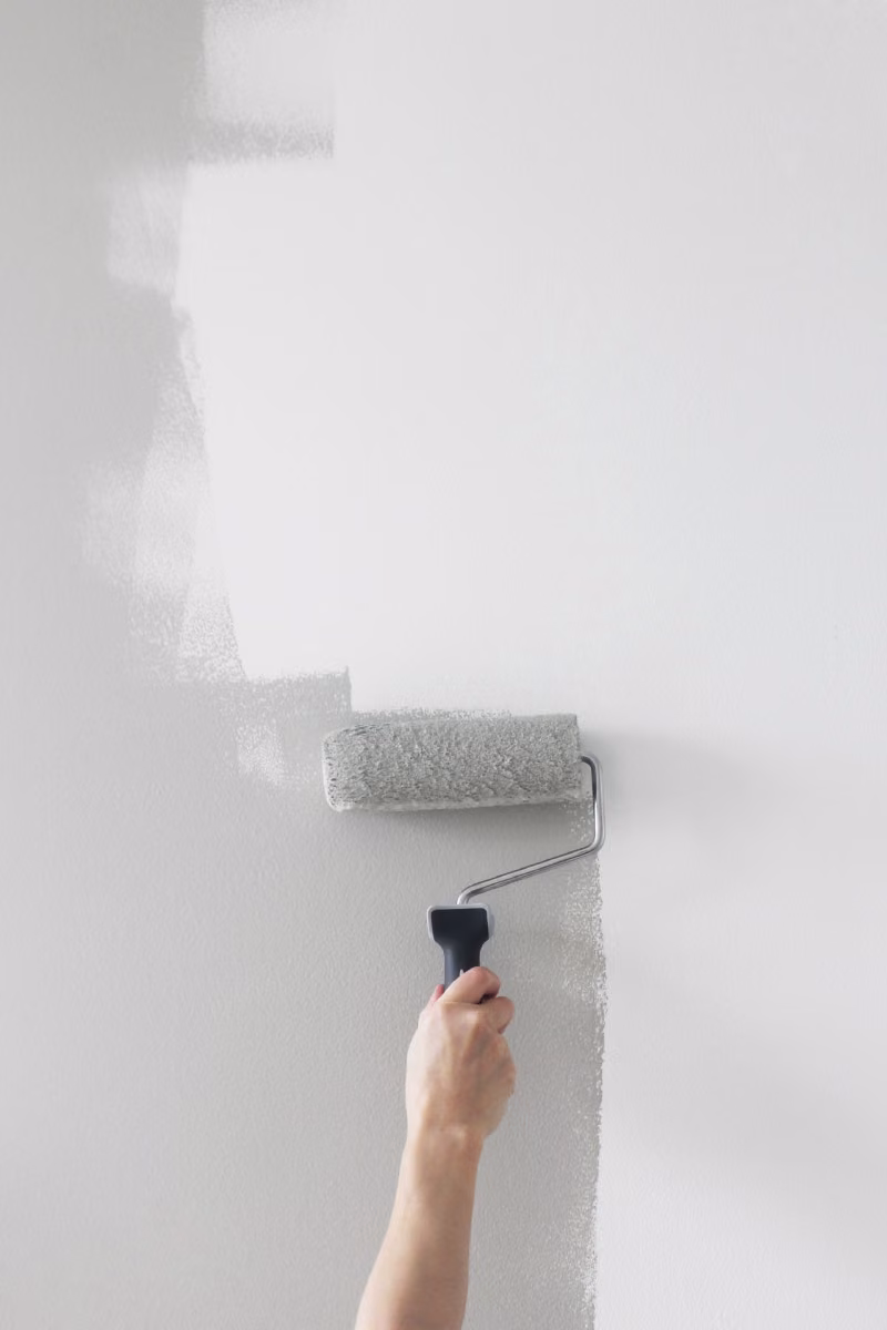 painting the wall