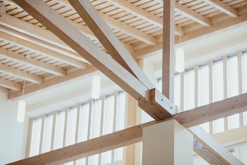 Fire protection for wood