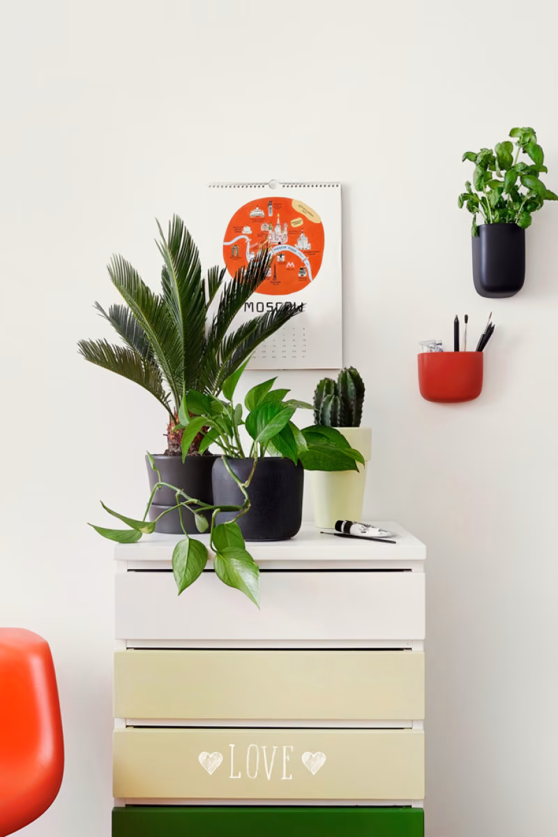 study wall with a dresser cabinet