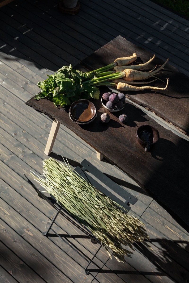 dark wooden plank table on terrace, vegetable roots and plants