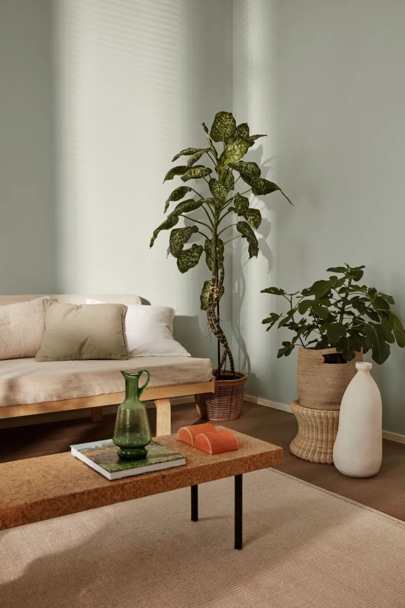 cosy living room with soft green wall