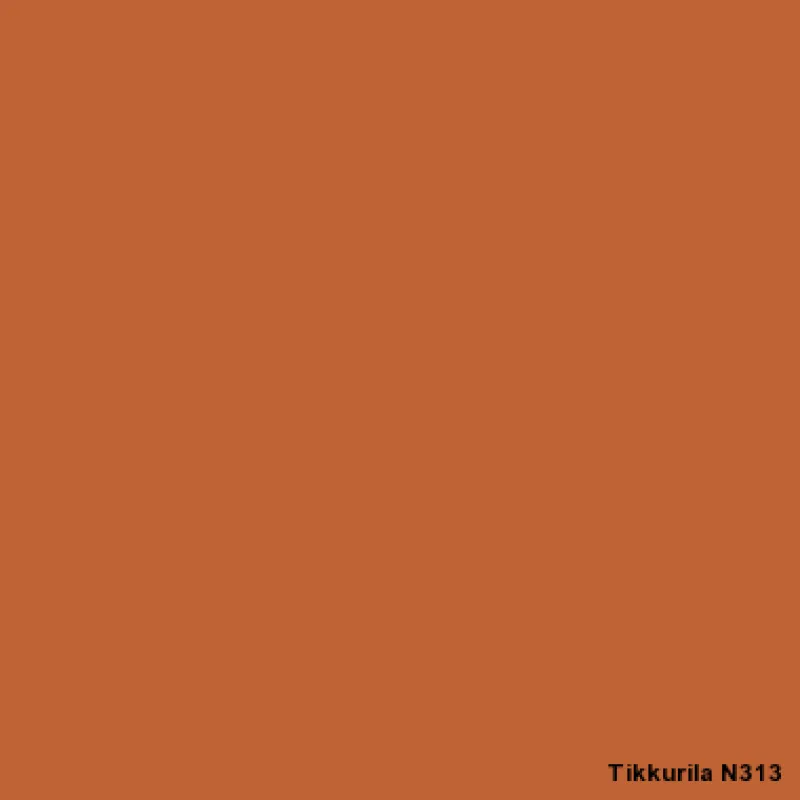 N313 N313 | Tikkurila